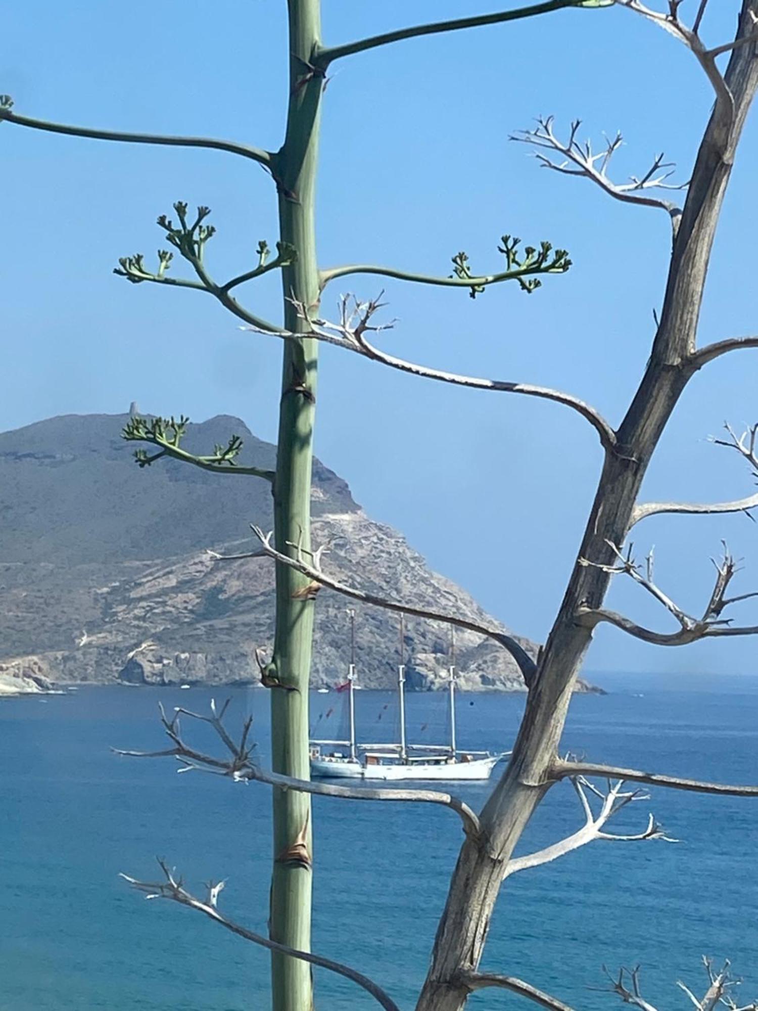 Casa Energia Del Cabo. San Jose Cabo De Gata. Βίλα Εξωτερικό φωτογραφία
